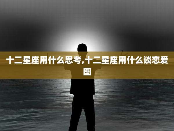 十二星座用什么思考,十二星座用什么谈恋爱图
