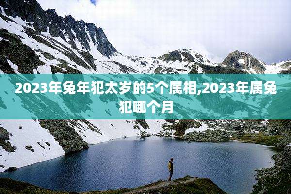 2023年兔年犯太岁的5个属相,2023年属兔犯哪个月