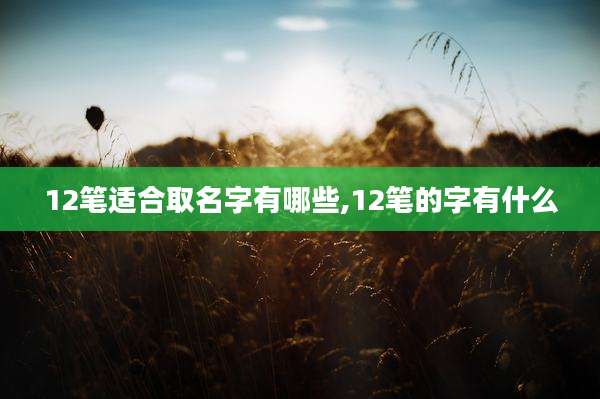 12笔适合取名字有哪些,12笔的字有什么