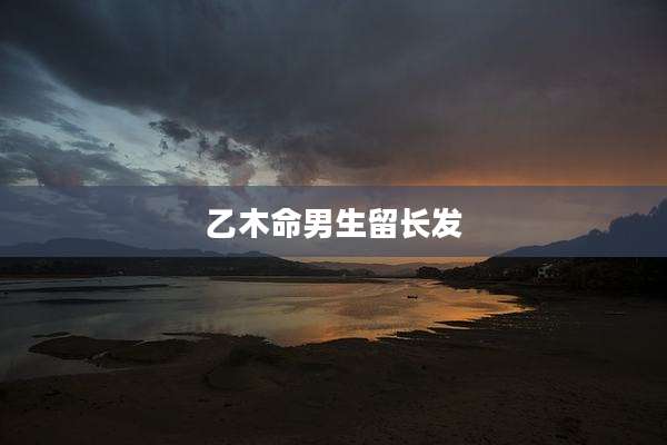 乙木命男生留长发