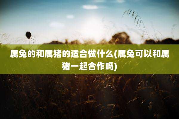 属兔的和属猪的适合做什么(属兔可以和属猪一起合作吗)