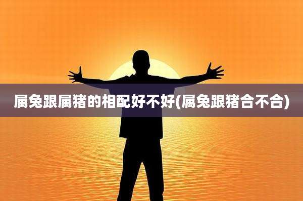 属兔跟属猪的相配好不好(属兔跟猪合不合)