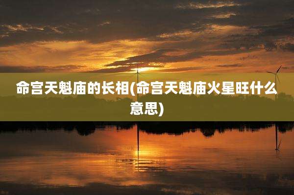 命宫天魁庙的长相(命宫天魁庙火星旺什么意思)