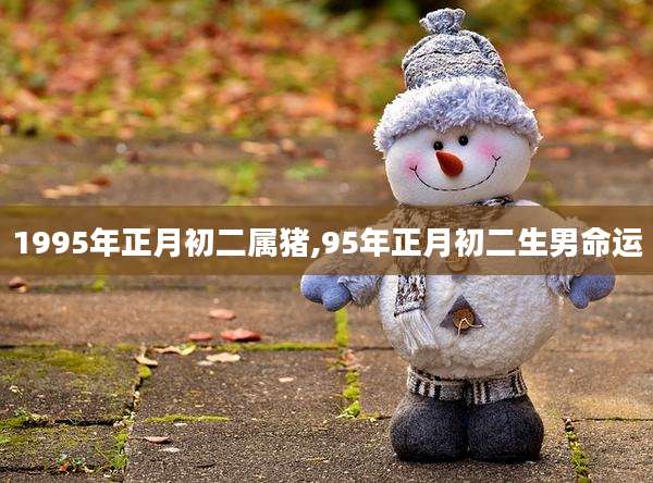 1995年正月初二属猪,95年正月初二生男命运