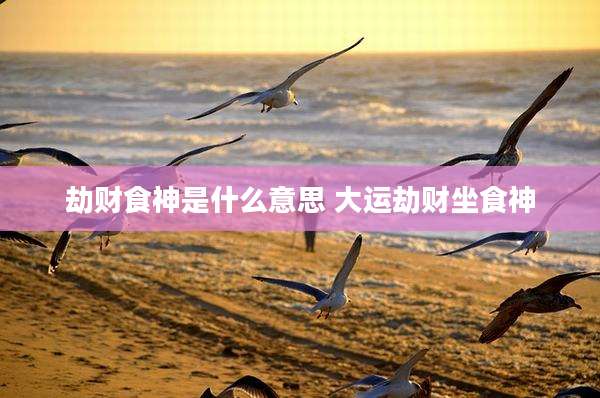 劫财食神是什么意思 大运劫财坐食神