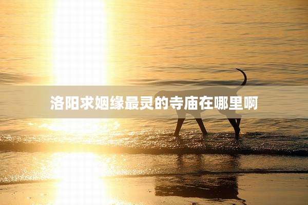 洛阳求姻缘最灵的寺庙在哪里啊