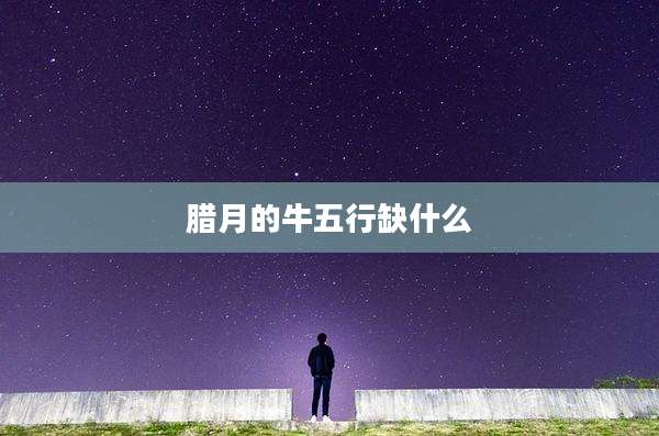 腊月的牛五行缺什么