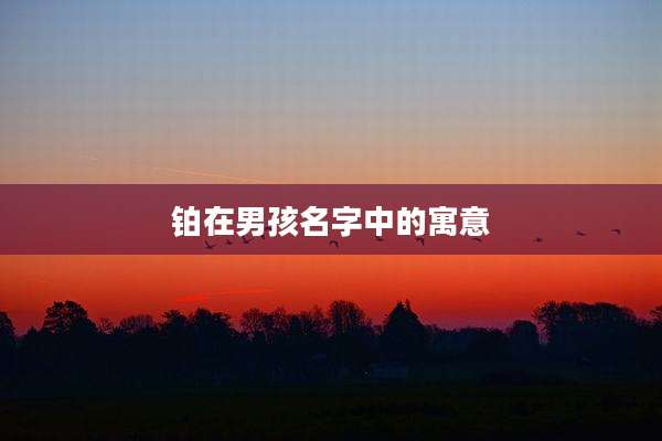 铂在男孩名字中的寓意