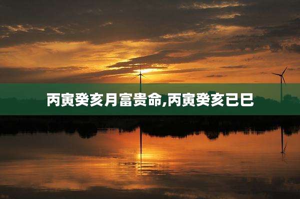 丙寅癸亥月富贵命,丙寅癸亥已巳