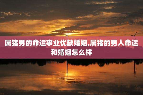 属猪男的命运事业优缺婚姻,属猪的男人命运和婚姻怎么样