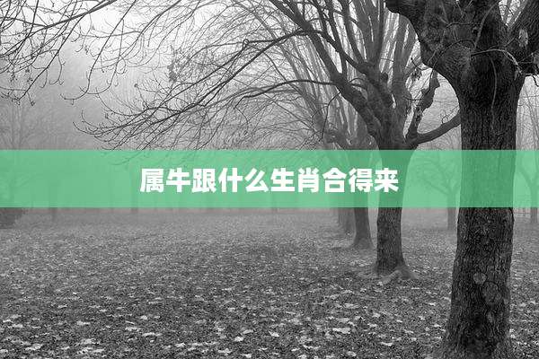 属牛跟什么生肖合得来