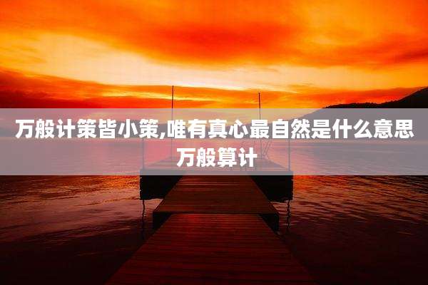 万般计策皆小策,唯有真心最自然是什么意思 万般算计