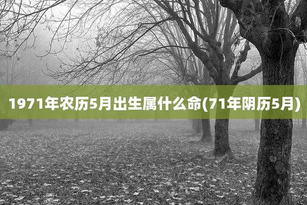 1971年农历5月出生属什么命(71年阴历5月)