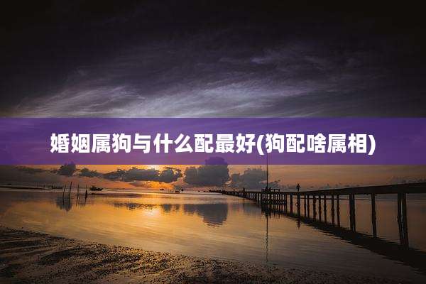 婚姻属狗与什么配最好(狗配啥属相)