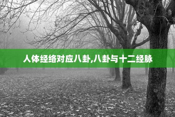 人体经络对应八卦,八卦与十二经脉