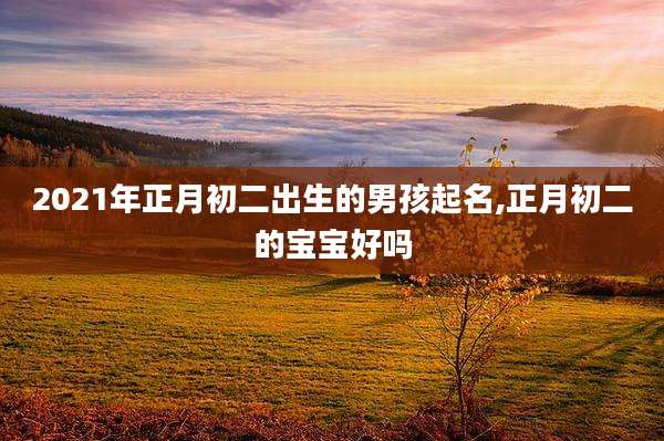 2021年正月初二出生的男孩起名,正月初二的宝宝好吗