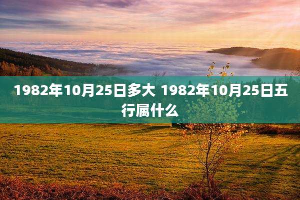 1982年10月25日多大 1982年10月25日五行属什么