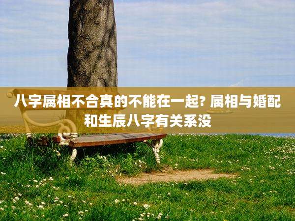 八字属相不合真的不能在一起? 属相与婚配和生辰八字有关系没