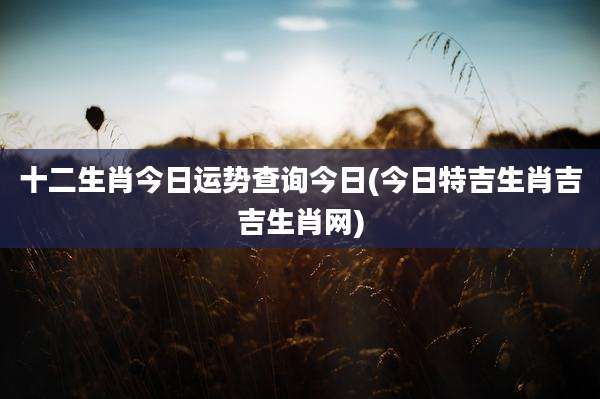 十二生肖今日运势查询今日(今日特吉生肖吉吉生肖网)
