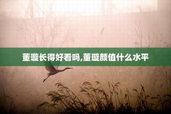 董璇长得好看吗,董璇颜值什么水平