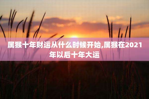 属猴十年财运从什么时候开始,属猴在2021年以后十年大运