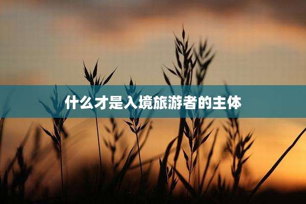 什么才是入境旅游者的主体
