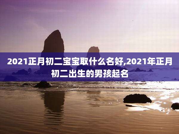 2021正月初二宝宝取什么名好,2021年正月初二出生的男孩起名