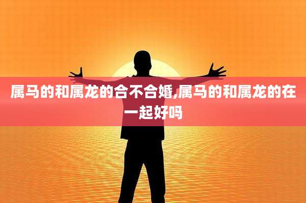 属马的和属龙的合不合婚,属马的和属龙的在一起好吗