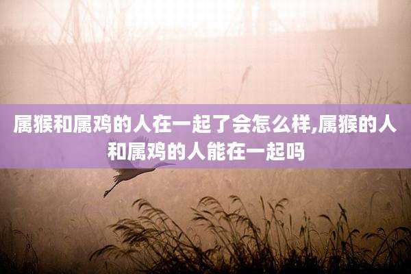 属猴和属鸡的人在一起了会怎么样,属猴的人和属鸡的人能在一起吗