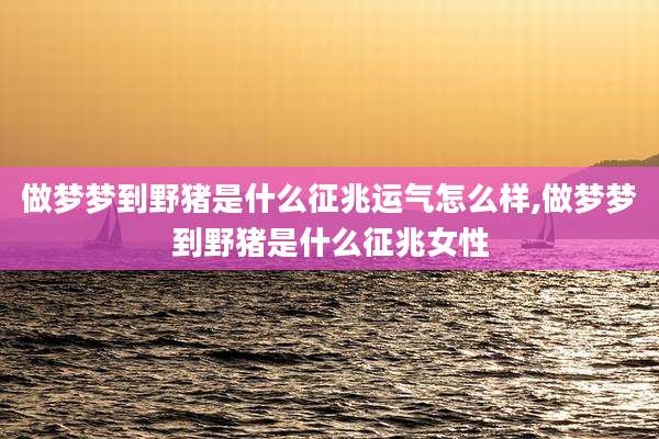 做梦梦到野猪是什么征兆运气怎么样,做梦梦到野猪是什么征兆女性