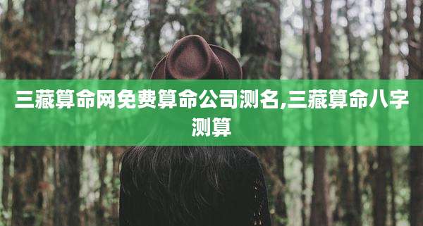 三藏算命网免费算命公司测名,三藏算命八字测算