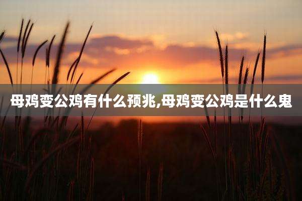 母鸡变公鸡有什么预兆,母鸡变公鸡是什么鬼