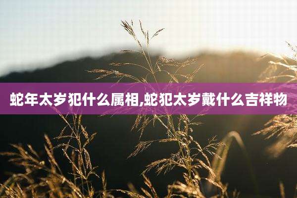 蛇年太岁犯什么属相,蛇犯太岁戴什么吉祥物