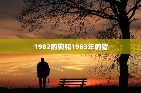 1982的狗和1983年的猪