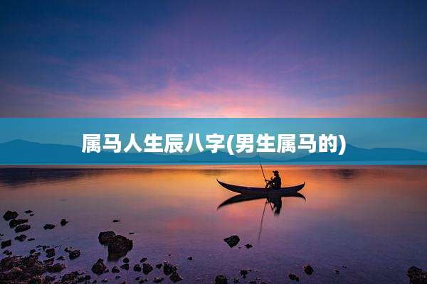属马人生辰八字(男生属马的)