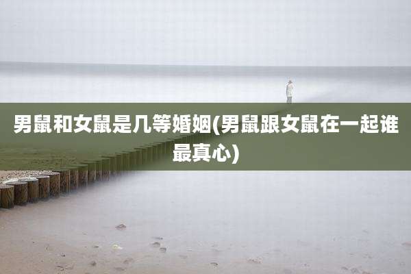 男鼠和女鼠是几等婚姻(男鼠跟女鼠在一起谁最真心)