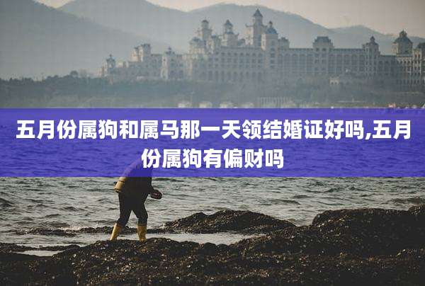 五月份属狗和属马那一天领结婚证好吗,五月份属狗有偏财吗