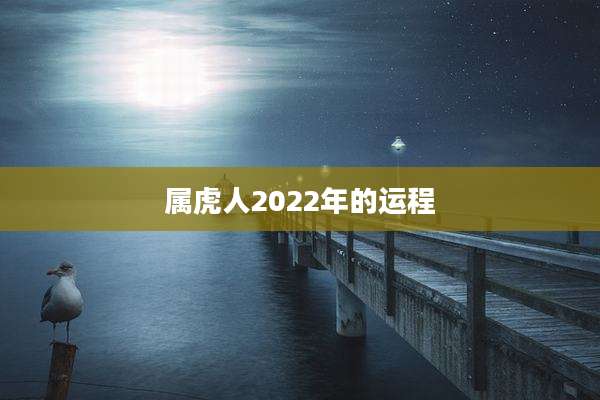 属虎人2022年的运程
