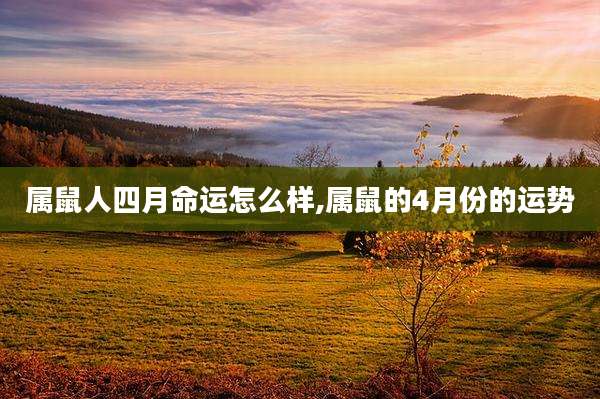 属鼠人四月命运怎么样,属鼠的4月份的运势