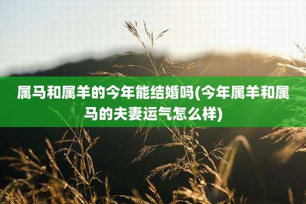 属马和属羊的今年能结婚吗(今年属羊和属马的夫妻运气怎么样)