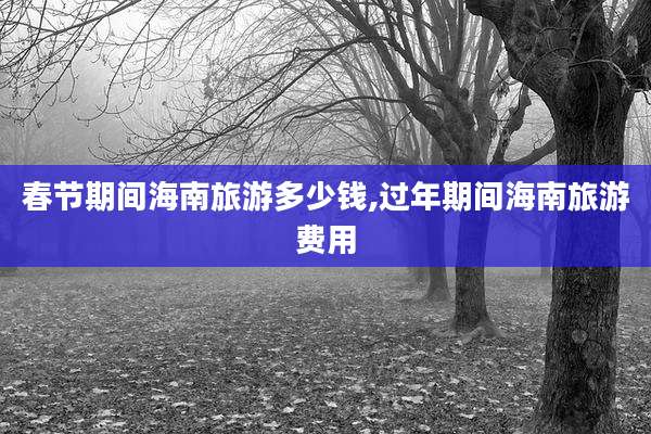春节期间海南旅游多少钱,过年期间海南旅游费用