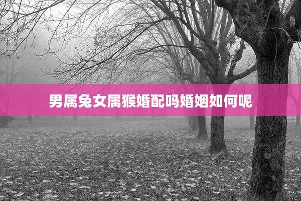 男属兔女属猴婚配吗婚姻如何呢