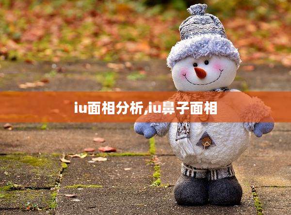 iu面相分析,iu鼻子面相