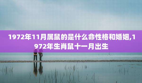 1972年11月属鼠的是什么命性格和婚姻,1972年生肖鼠十一月出生