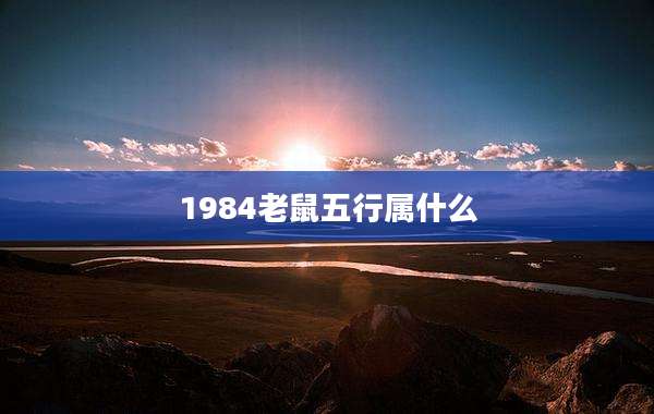 1984老鼠五行属什么