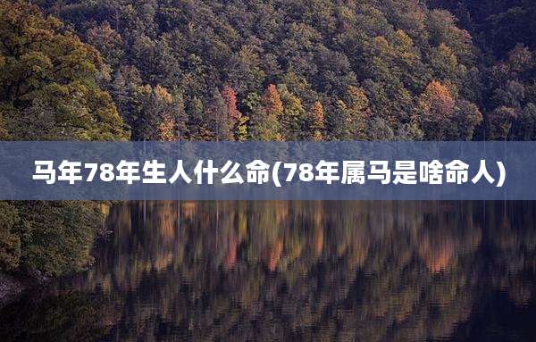 马年78年生人什么命(78年属马是啥命人)