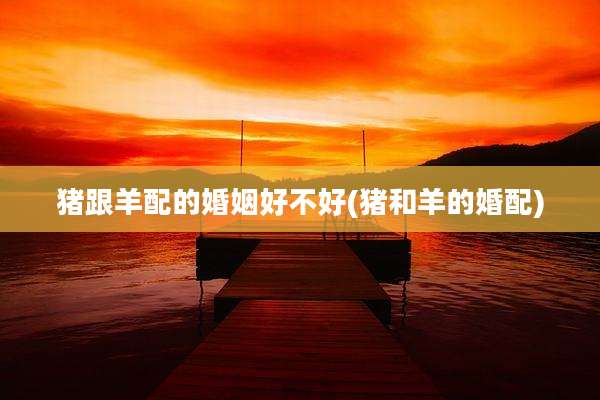 猪跟羊配的婚姻好不好(猪和羊的婚配)