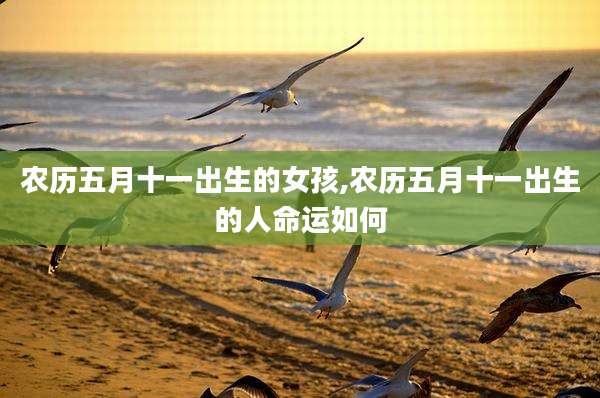 农历五月十一出生的女孩,农历五月十一出生的人命运如何