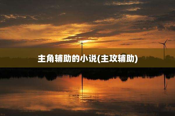 主角辅助的小说(主攻辅助)