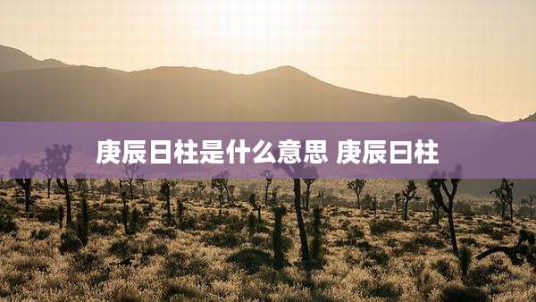 庚辰日柱是什么意思 庚辰曰柱